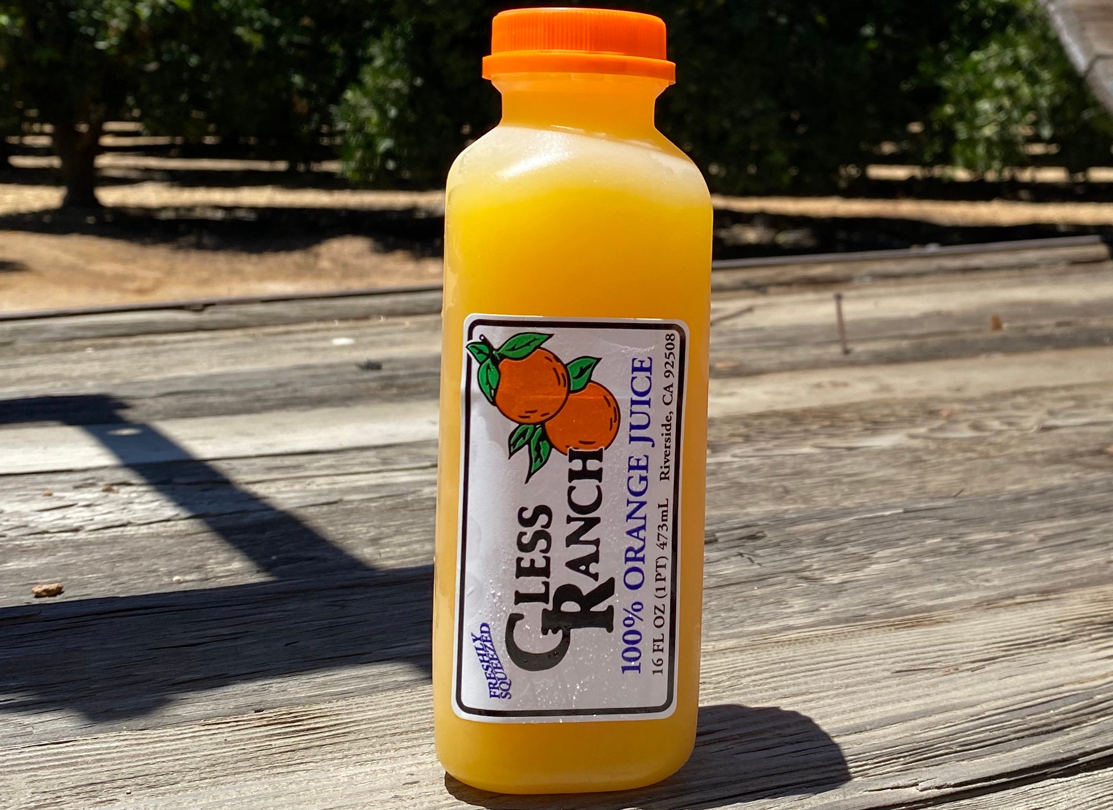 Gless Ranch 16oz Fresh Squeezed OJ Gless Ranch Curbside